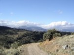 DSC02299.jpg