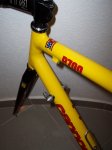 000_1095_bis.jpg