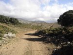 DSC02309.jpg