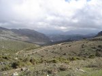 DSC02310.jpg