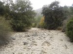 DSC02325.jpg