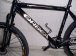 PICT0049.jpg