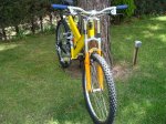 mtb quantum DH 007 (Large).jpg