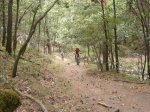 Foto13.JPG