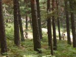 Foto20.JPG