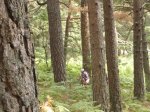 Foto22.JPG