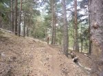 Foto35.JPG