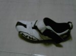 PICT0020.jpg