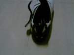 PICT0021.jpg