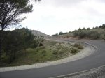 DSC02335.jpg