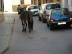 carrito 012.jpg