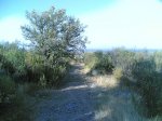 probando el recorrido del 5 de octubre 006.jpg