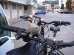 DSC05279xx.JPG