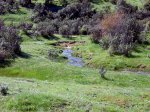 DSCN1368.JPG