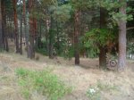 DSC01926.JPG