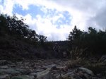 DSC01937.JPG
