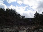 DSC01941.JPG