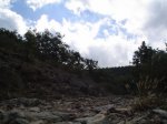 DSC01943.JPG