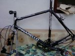 pinarello.JPG