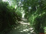DSC01537.jpg