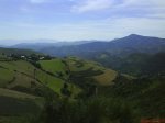 DSC01539.jpg