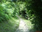 DSC01554.jpg