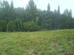 DSC01575.jpg
