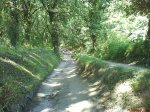 DSC01623.jpg