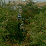 nuevo-2.gif