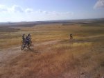 DSC00245.jpg