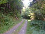 DSCF1181.jpg
