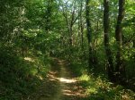 DSCF1238.jpg