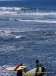 100_1679.JPG