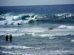 100_1718.JPG