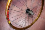 bike (46).JPG
