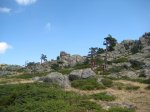 Foto 033.JPG