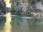 IMG_1489.JPG