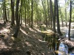 Foto32.JPG