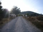 Foto41.JPG