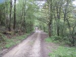 CamiÃ±o de inverno 2008 005.jpg