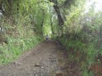 CamiÃ±o de inverno 2008 012.jpg