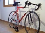 bici12.jpg