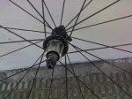 01092008116.jpg