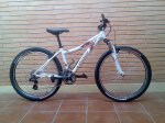 Mibici.jpg