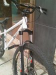 IMAG0210.jpg