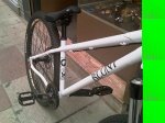 IMAG0211.jpg