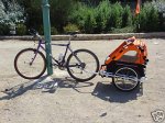 CARRO BICI.jpg