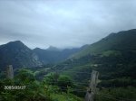 IMG_3223.jpg