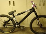 aaron-chase-softtail-hi.jpg