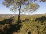 Imagen006.jpg